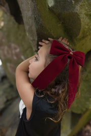 Classic Velvet  Bow Large
