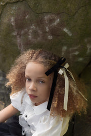 Classic Velvet  Bow Thin